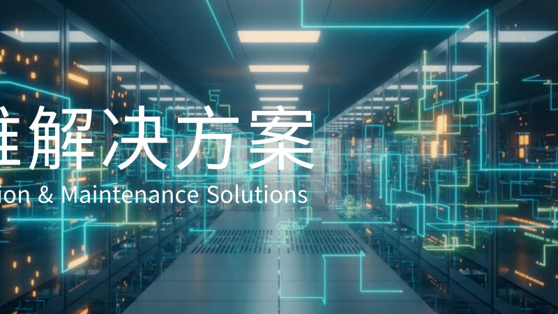 揭秘国内信息技术公司排名背后的考量因素