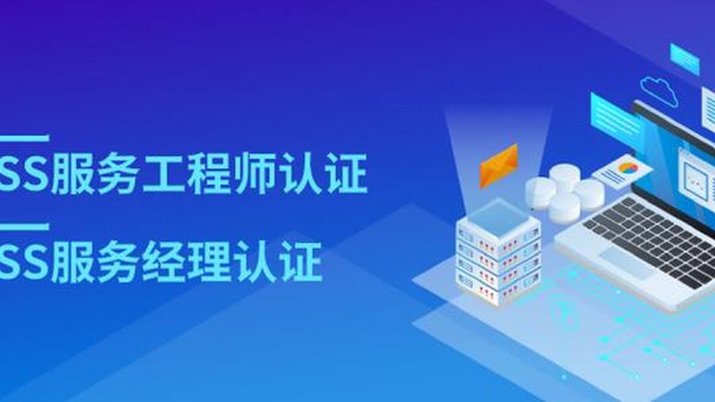 信息技术加盟代理：揭秘加盟背后的逻辑与选择**